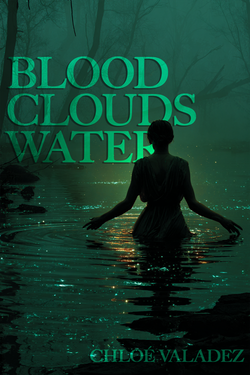 Blood Clouds Water book cover